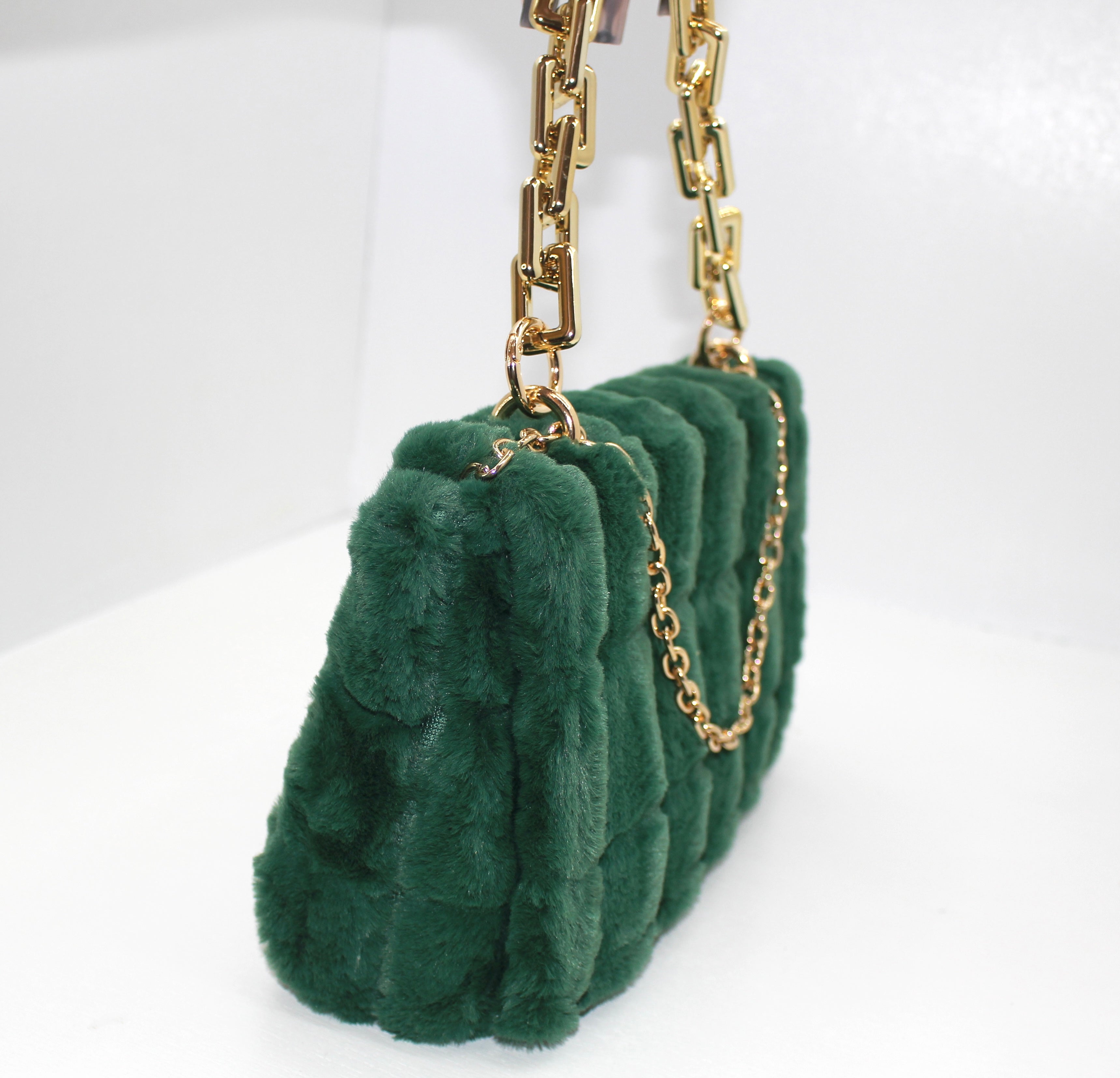 Green Money Bag